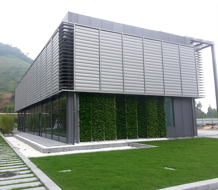 梭形好色先生TV版下载