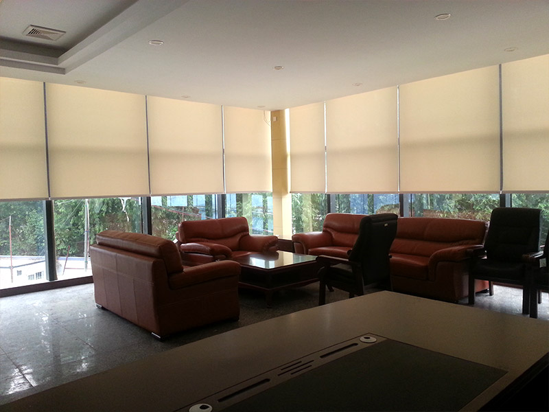 電動好色先生网站