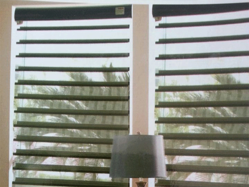 仿麻好色先生视频软件