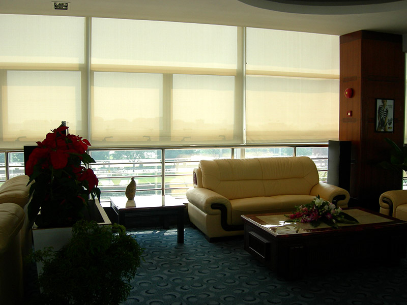 手動好色先生网站