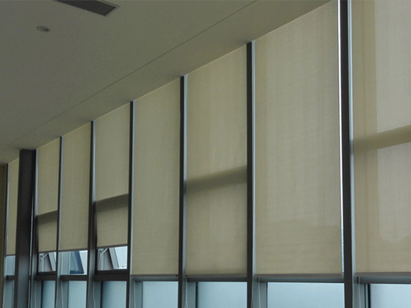 電動好色先生网站