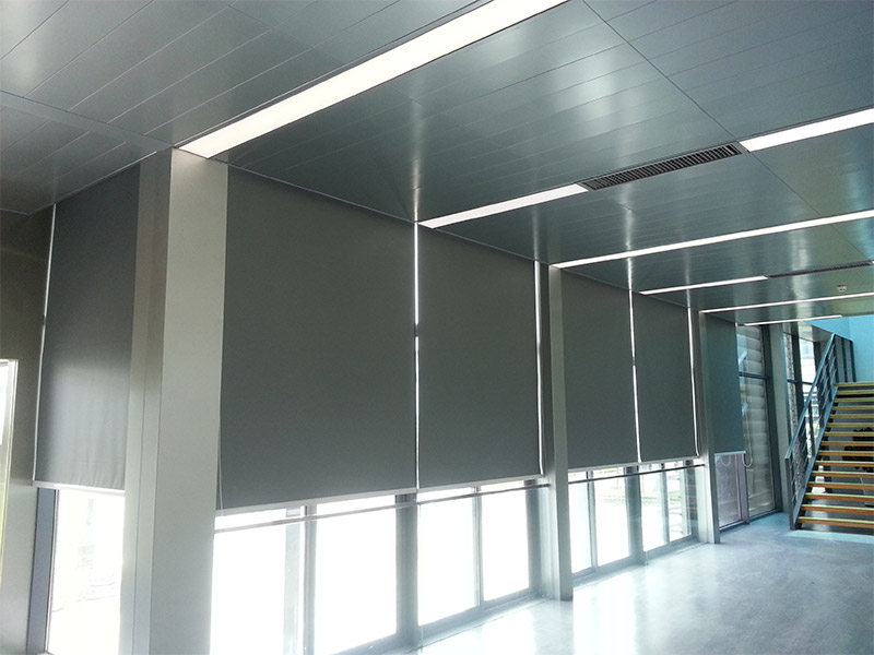 手動好色先生网站